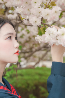 插曲视频免费高清观看动漫